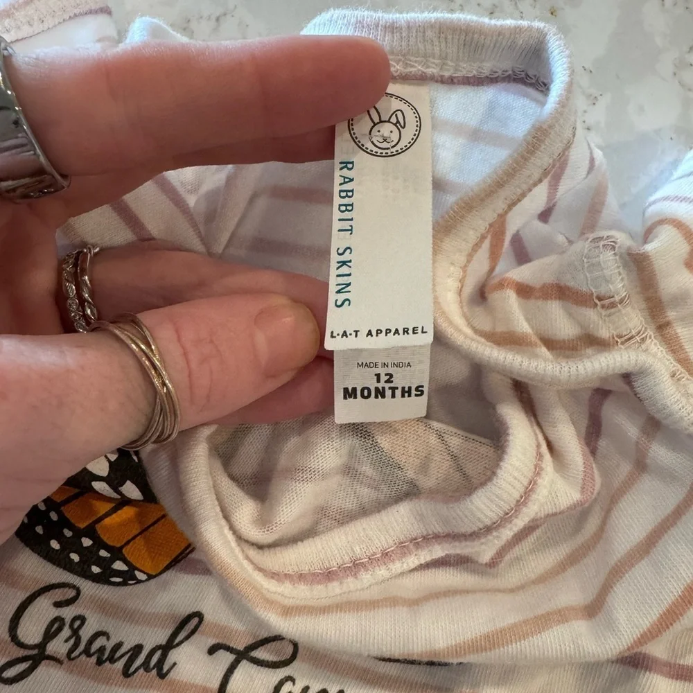 12M- Grand Canyon National Park Striped Baby Onesie - Orange Butterfly